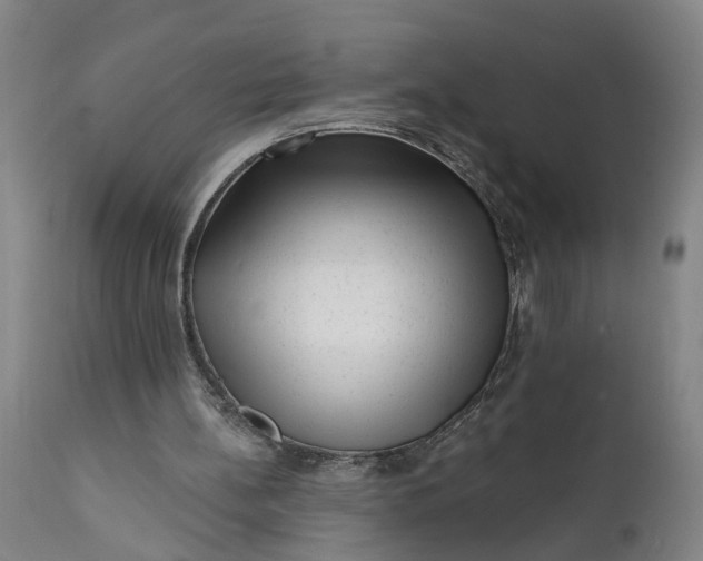 X0000111620148200907311211