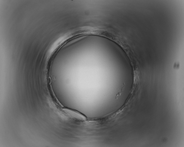 X0000111620150200907311211