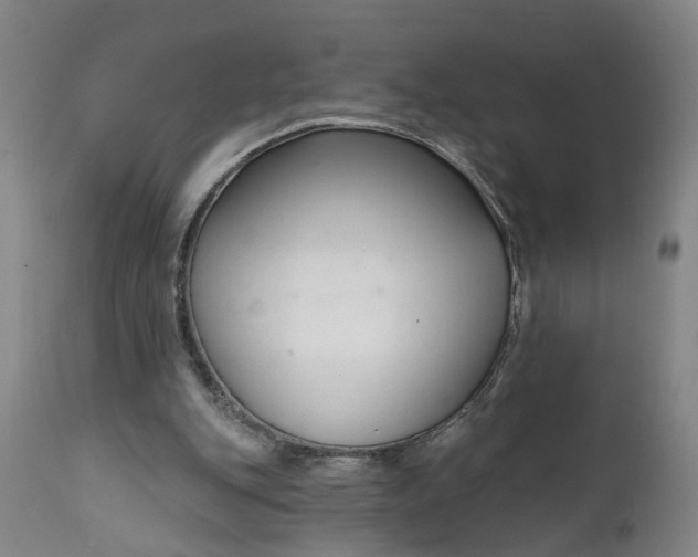 X0000111620151200907311211