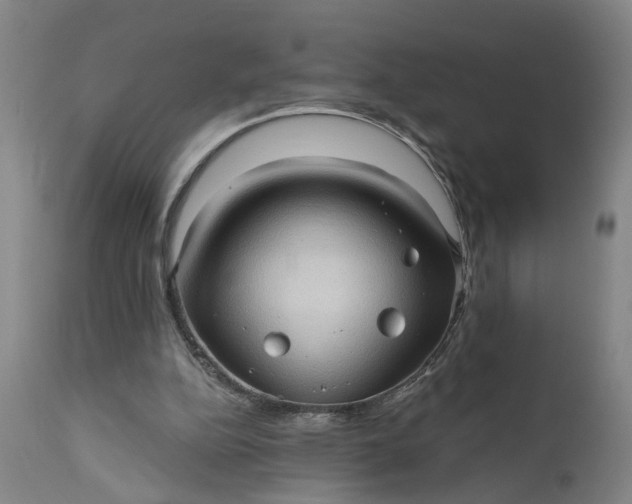 X0000111620152200907311211