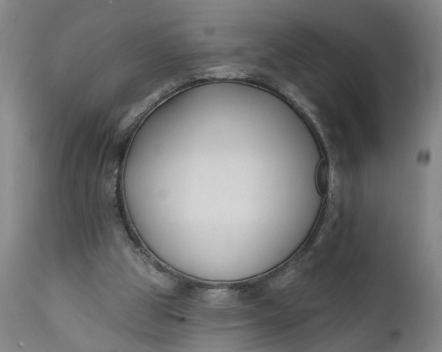 X0000111620153200907311211