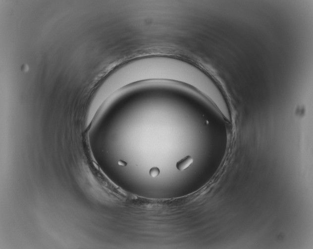 X0000111620154200907311211