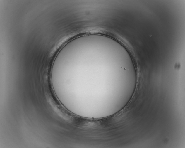 X0000111620155200907311211