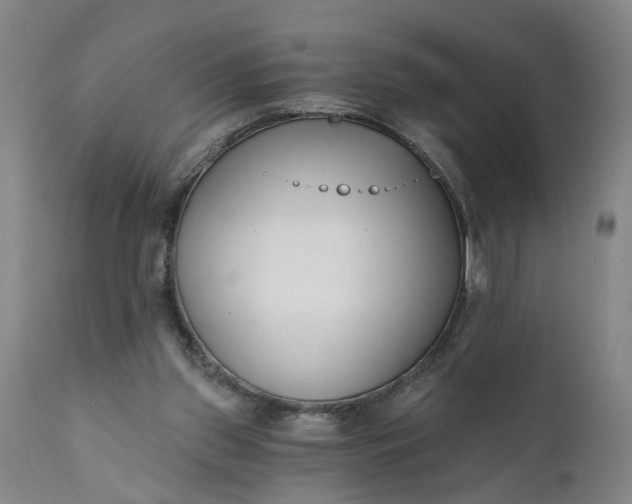 X0000111620157200907311211