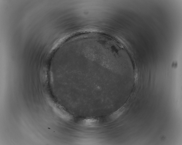 X0000111620158200907311211