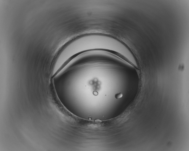 X0000111620160200907311211