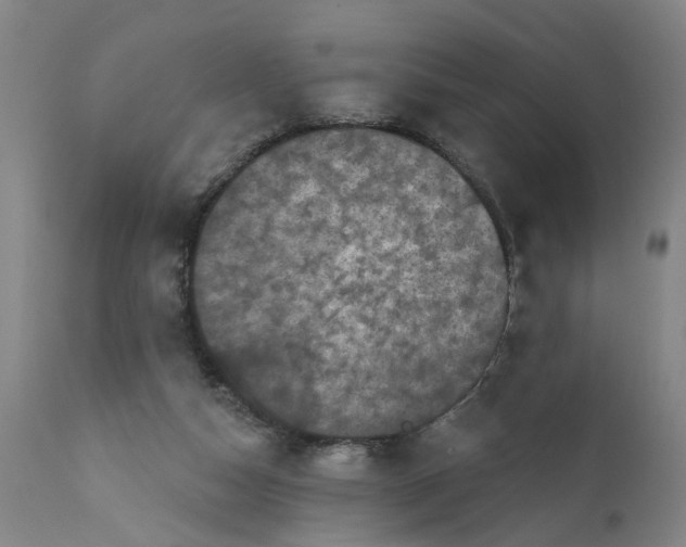 X0000111620162200907311211