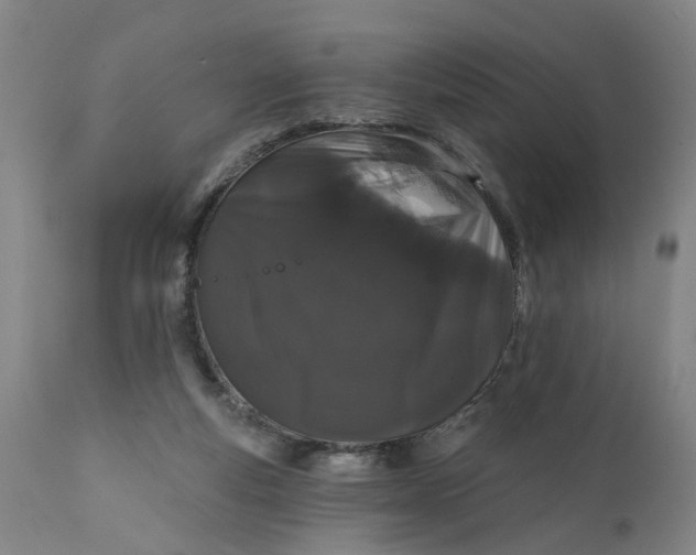 X0000111620163200907311211