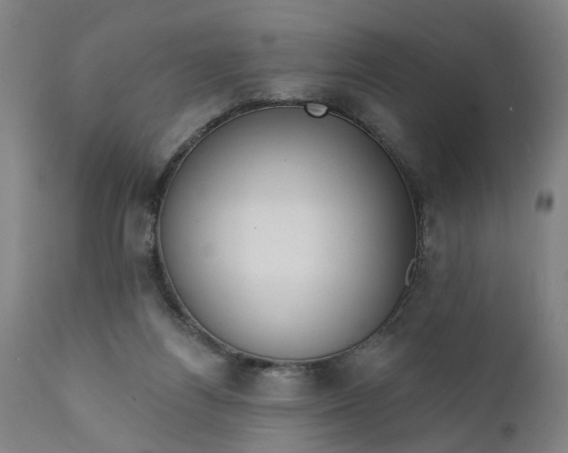 X0000111620164200907311211