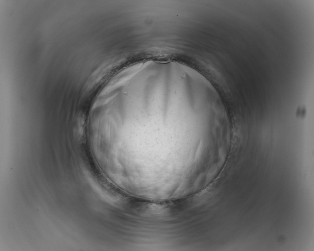 X0000111620166200907311211