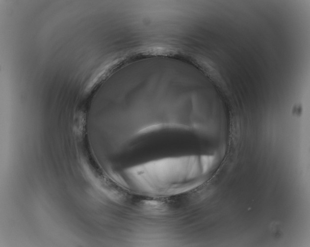 X0000111620167200907311211