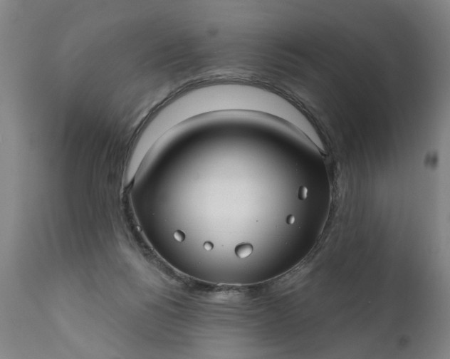 X0000111620168200907311211