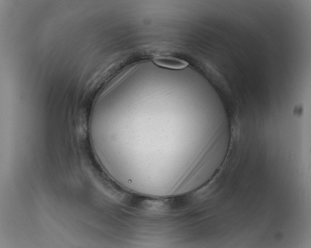 X0000111620170200907311211