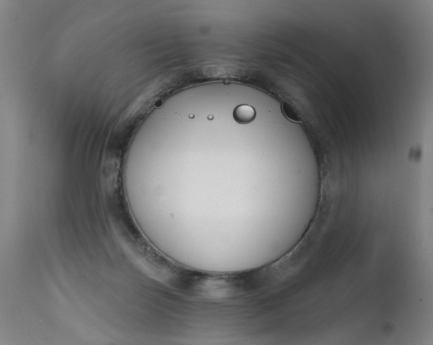 X0000111620171200907311211