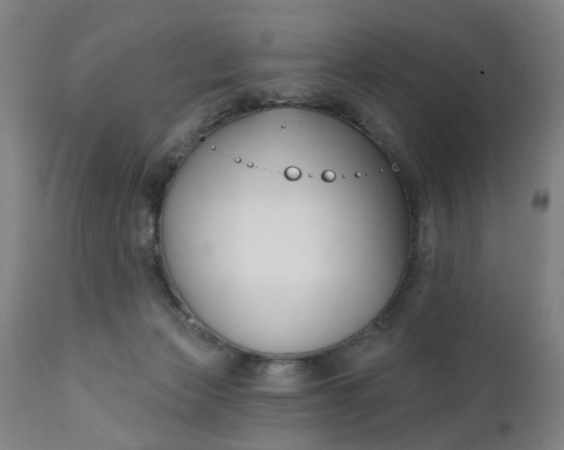 X0000111620173200907311211