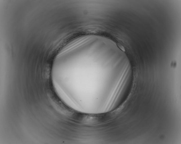 X0000111620174200907311211