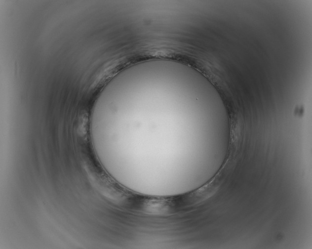 X0000111620175200907311211