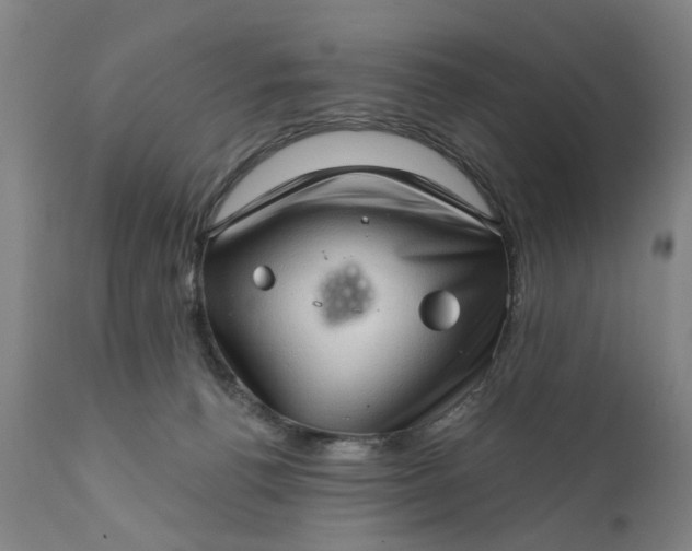 X0000111620176200907311211