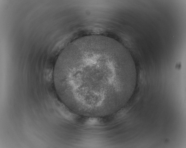 X0000111620177200907311211