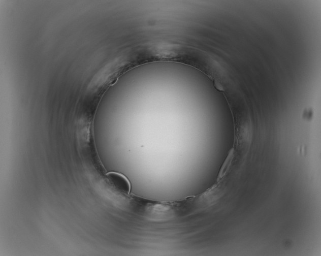 X0000111620180200907311211