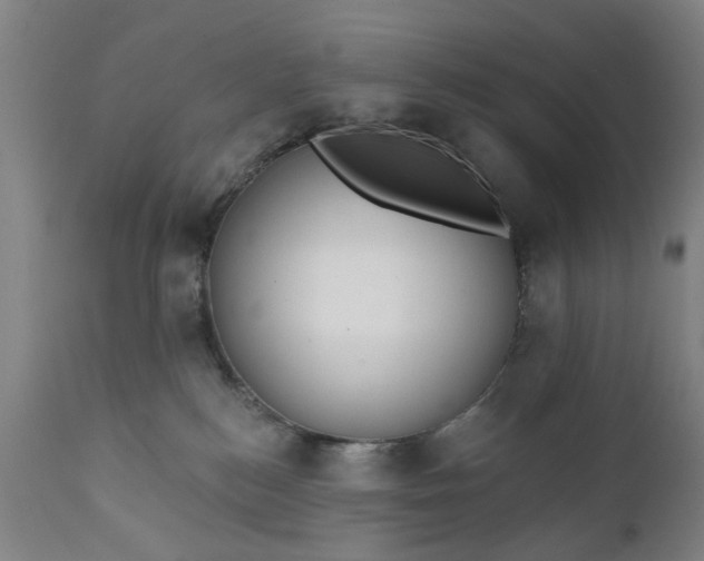 X0000111620184200907311212