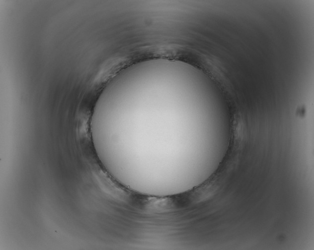 X0000111620185200907311212