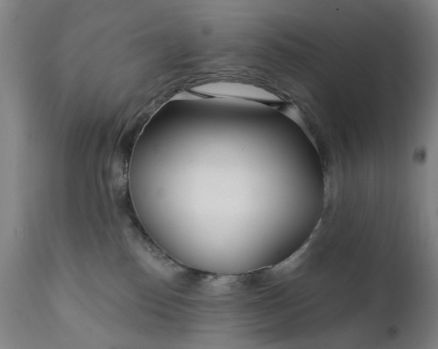 X0000111620186200907311212