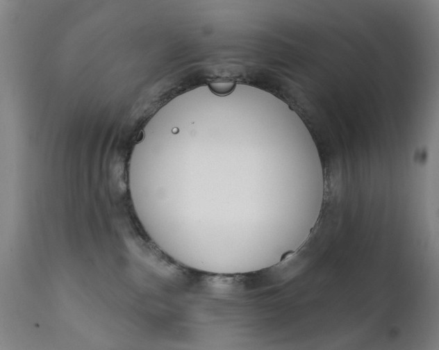 X0000111620187200907311212