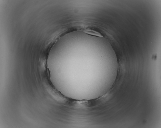 X0000111620188200907311212