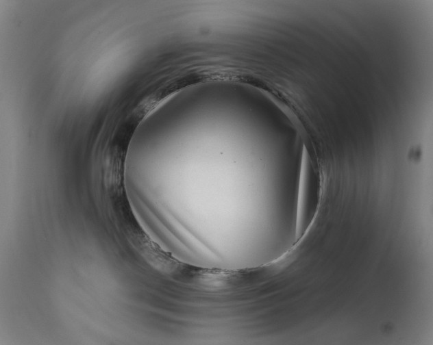 X0000111620190200907311212