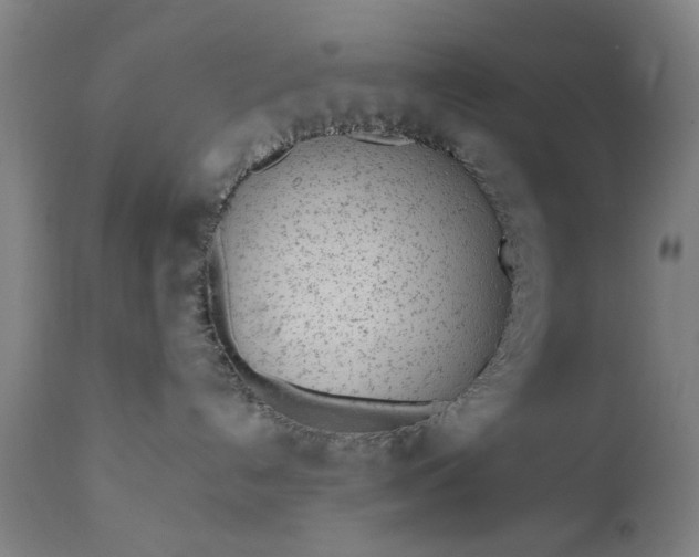 X0000111620192200907311212