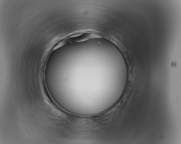 X0000111620193200907311211