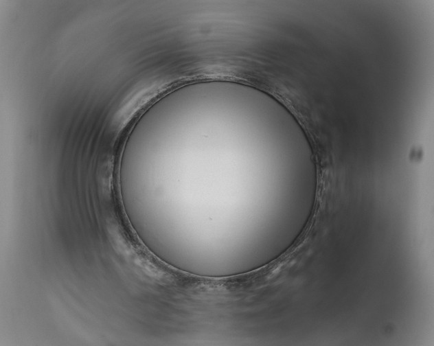 X0000111620194200907311211