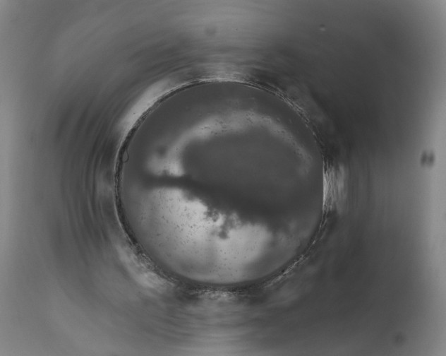 X0000111620195200907311211