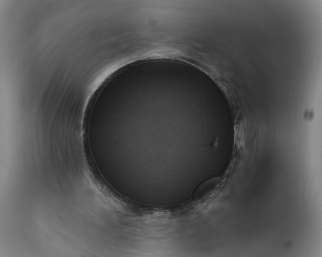 X0000111620196200907311211