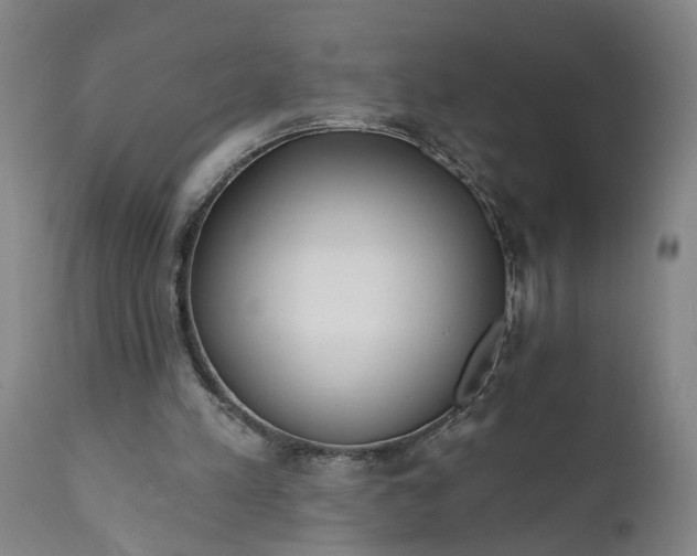 X0000111620197200907311211