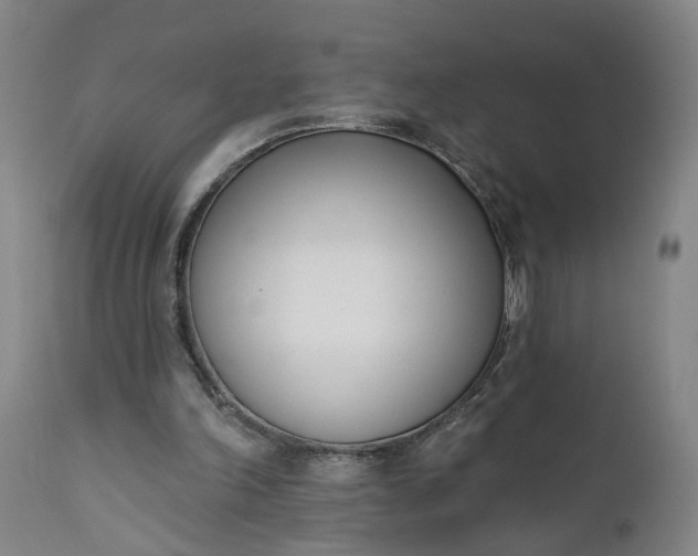 X0000111620198200907311211