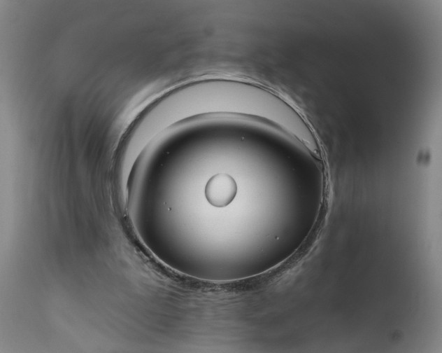 X0000111620199200907311211