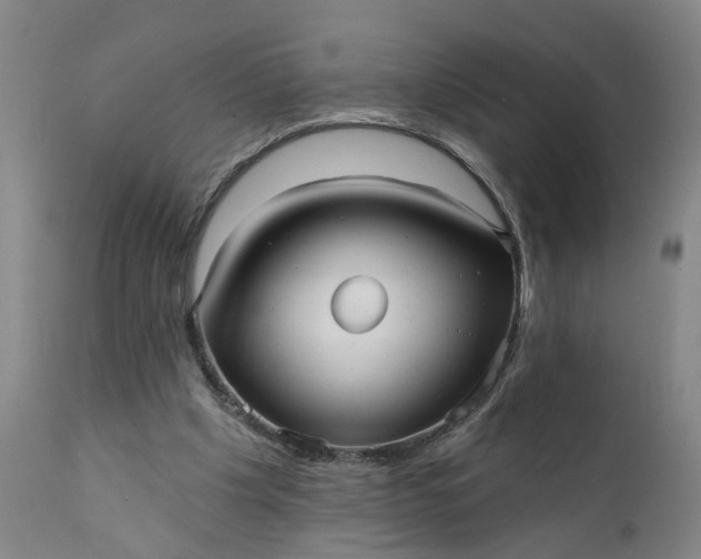 X0000111620201200907311211