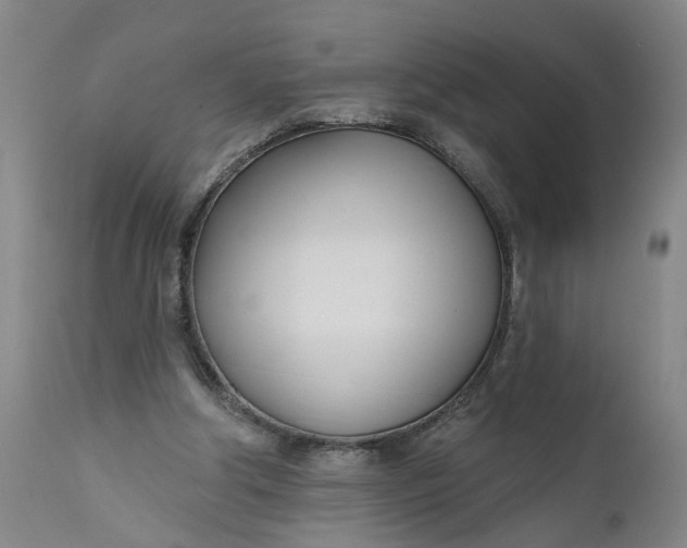 X0000111620202200907311211