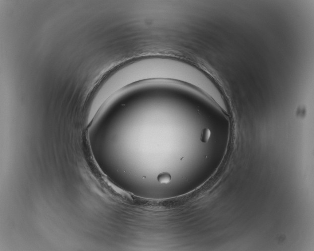 X0000111620203200907311211