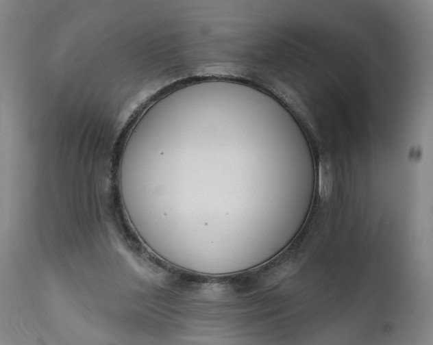 X0000111620204200907311211