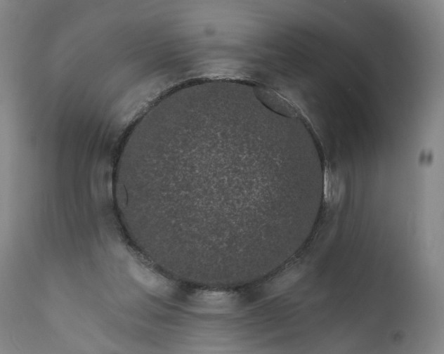 X0000111620205200907311211