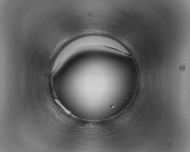 X0000111620207200907311211