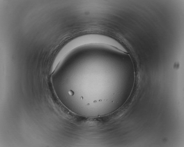 X0000111620209200907311211