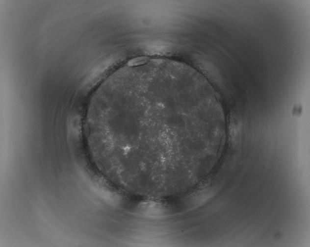 X0000111620211200907311211