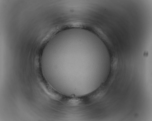 X0000111620213200907311211