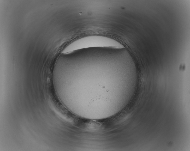 X0000111620215200907311210