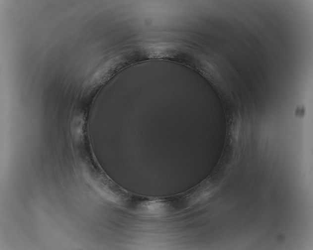 X0000111620219200907311210