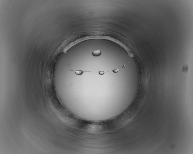 X0000111620220200907311210